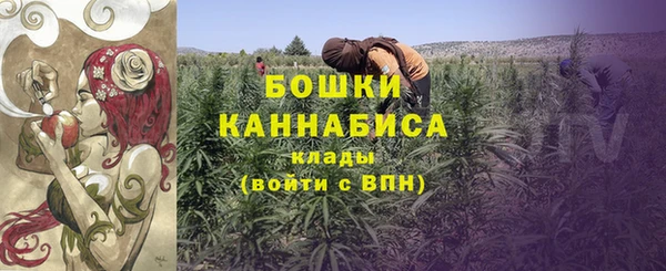 шишки Баксан