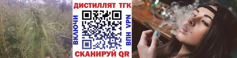 Дистиллят ТГК Wax  Купить  Шагонар 